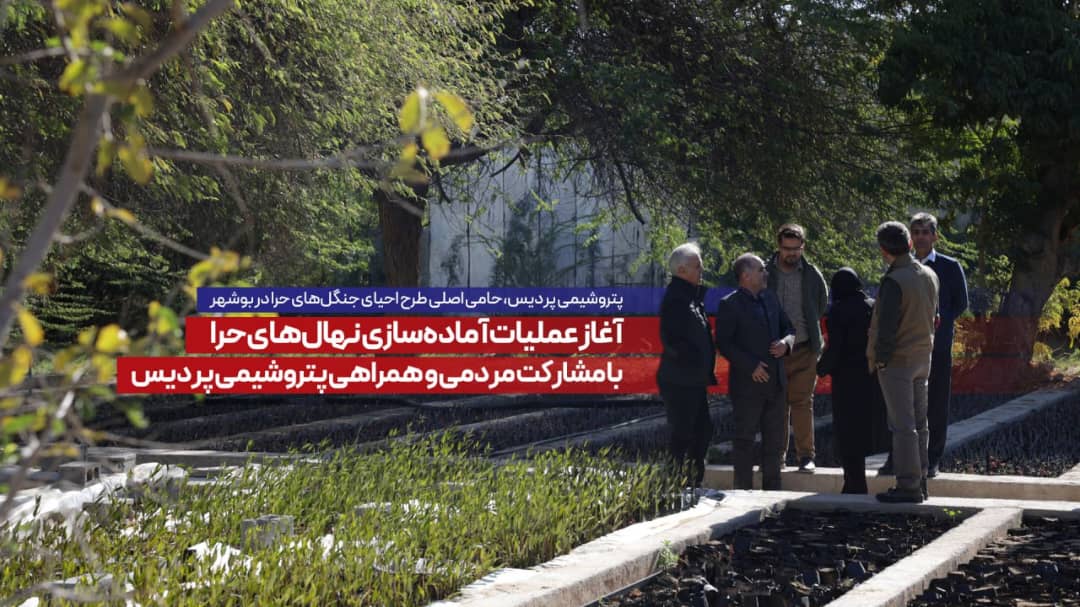 پتروشیمی پردیس، حامی اصلی طرح احیای جنگل‌های حرا در بوشهر