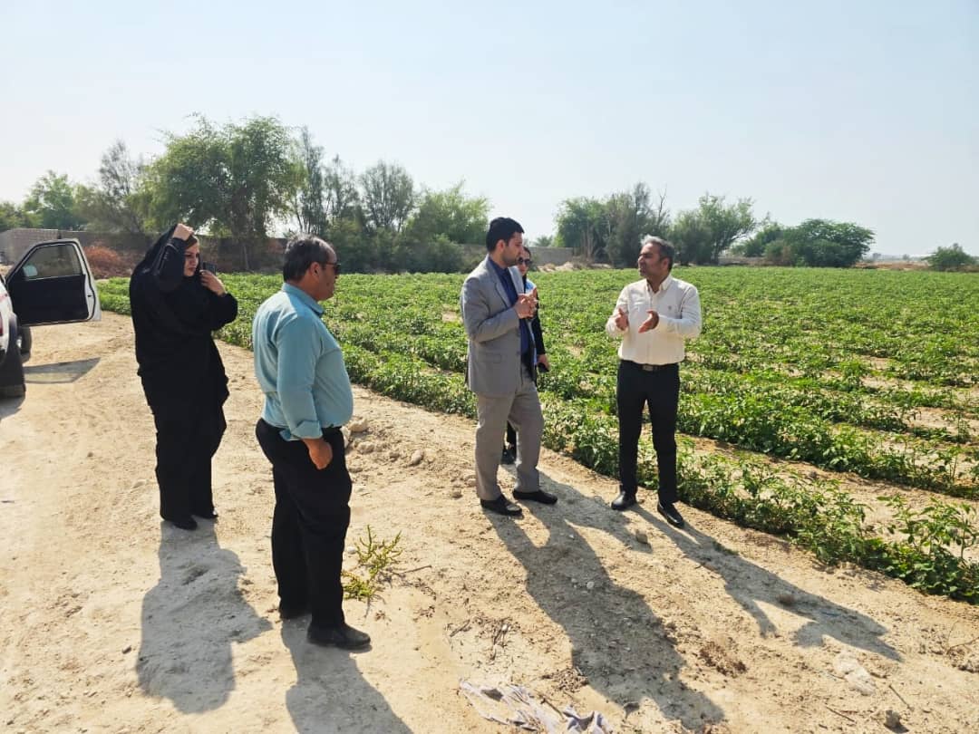 حضور میدانی دادستان کنگان در پی مطالبه عمومی مردم درباره بوی نامطبوع و تخلفات زیست‌محیطی