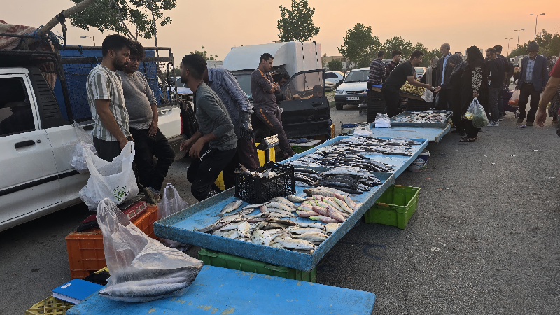 گزارش تصویری از بازار هفتگی دوشنبه بازار بنک گزارش تصویری از بازار هفتگی دوشنبه بازار بنک