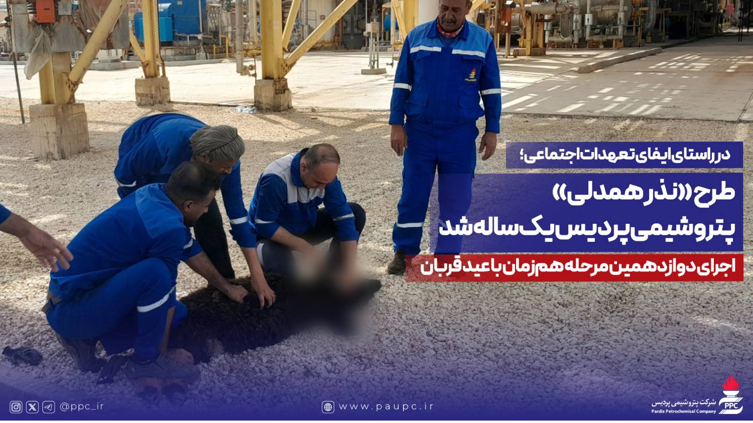 در راستای ایفای تعهدات اجتماعی؛ طرح «نذر همدلی» پتروشیمی پردیس یک‌ساله شد / اجرای دوازدهمین مرحله هم‌زمان با عید قربان