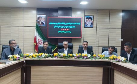 نشست هم‌اندیشی باشگاه‌داران کنگان و دیر با حضور فرماندار کنگان؛ تأکید بر حمایت از زیرساخت‌ها و توسعه ورزش بدنسازی